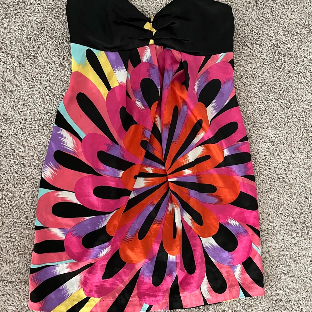 Ladakh Strapless Minidress